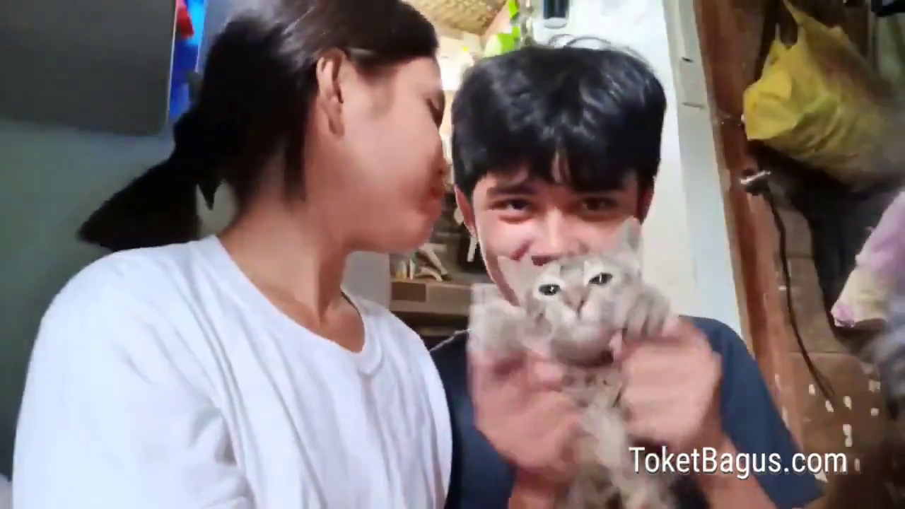 Bokep Doodstream Random Sesuai Judul